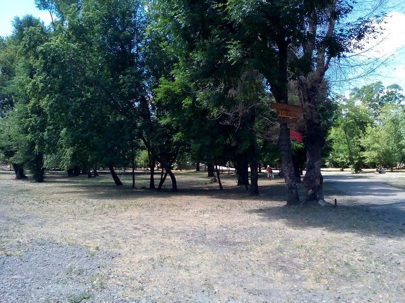 Парки левобережья Днепра: бесхозные и ухоженные 8