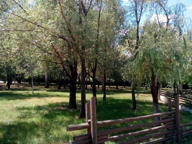 Парки левобережья Днепра: бесхозные и ухоженные 10