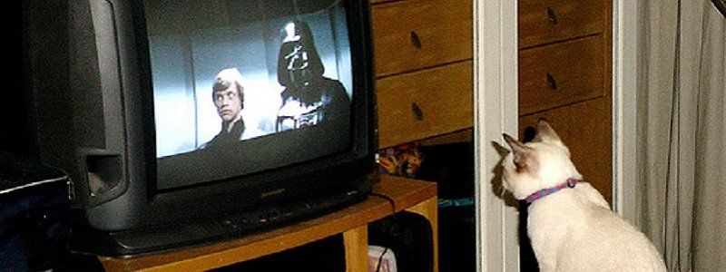 Украинская военная угроза - новый кошмар для России 1