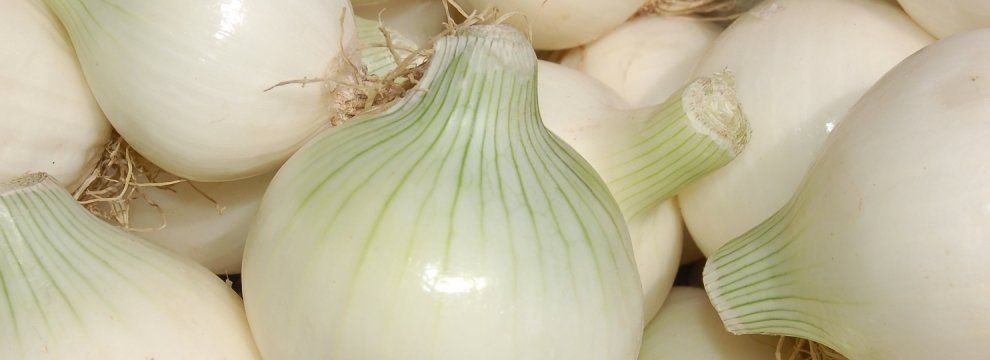 Золотые ниши: как сделать состояние в украинском агробизнесе 5