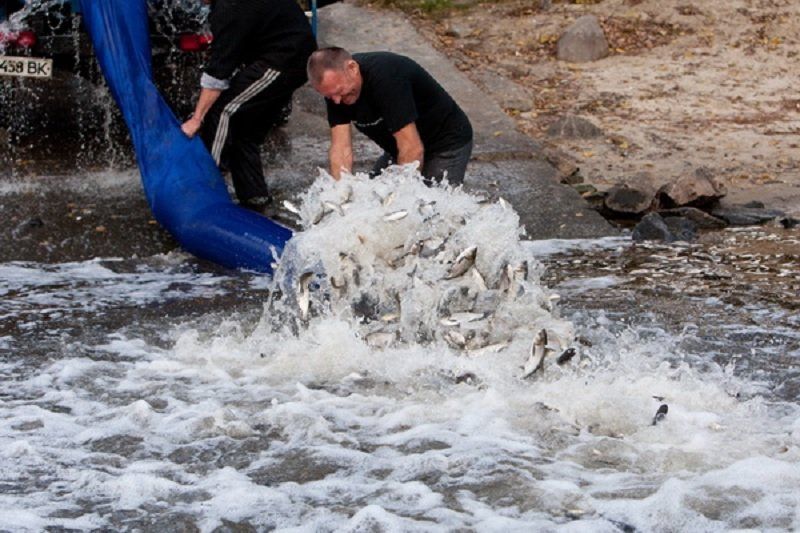 Гибель Днепра в цифрах 7
