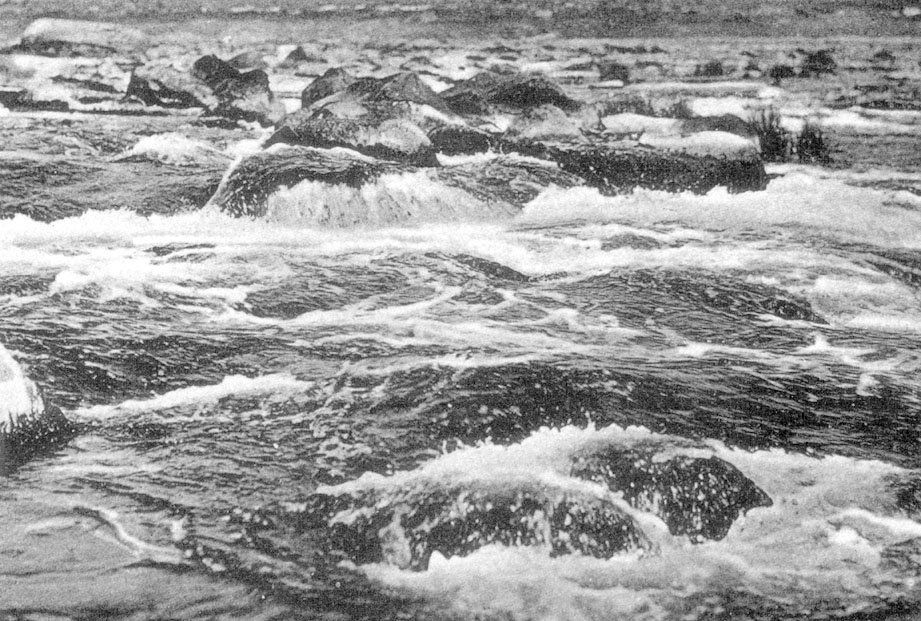 «Днiпровi пороги»: сайт есть, ждем ландшафтный парк 4