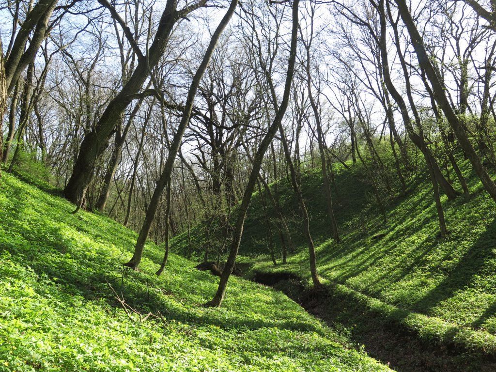 «Днiпровi пороги»: сайт есть, ждем ландшафтный парк 5