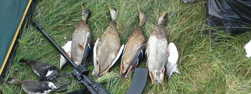 Охотничий скандал на Днепропетровщине