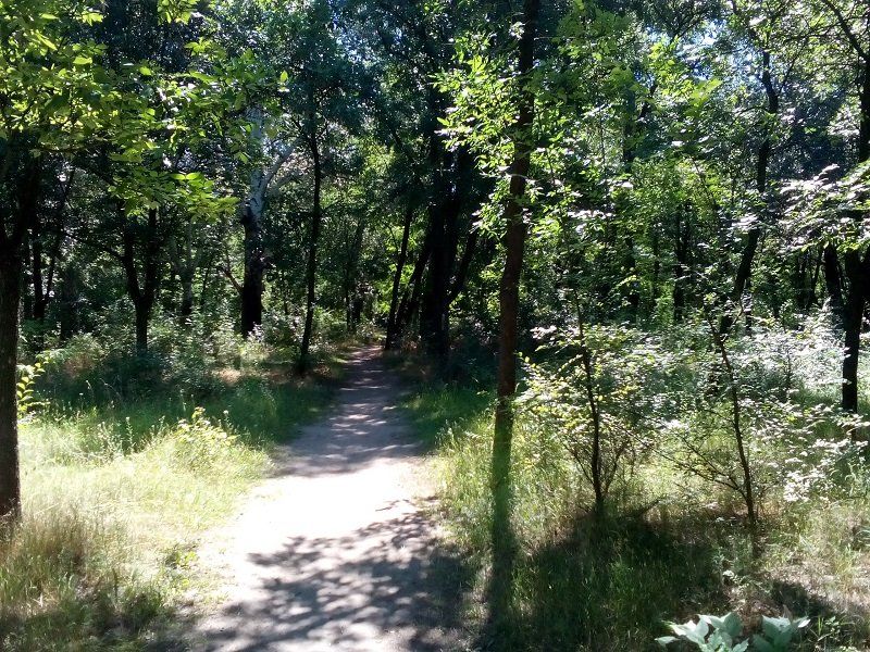 Заброшенные парки Днепра 13