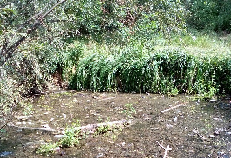 Заброшенные парки Днепра 21