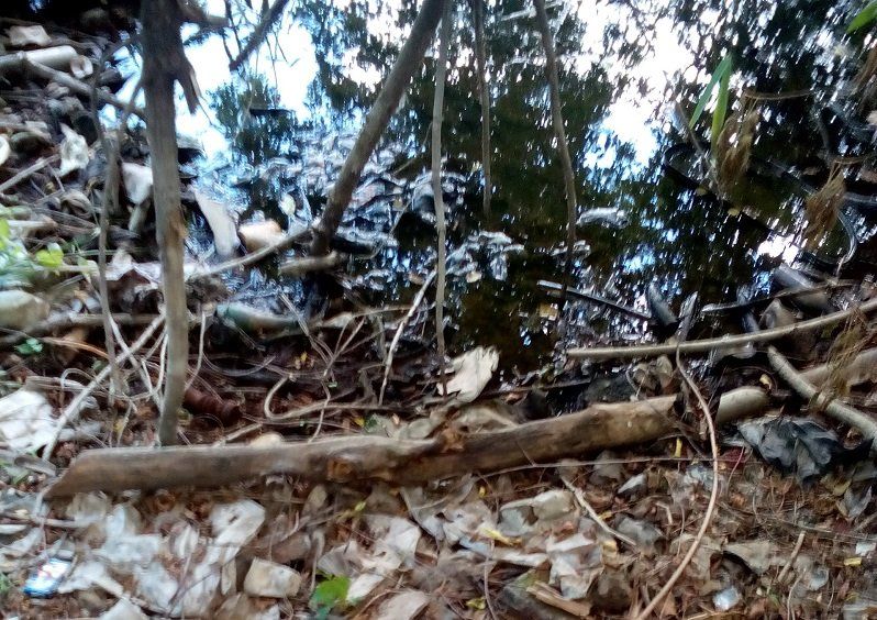 Заброшенные парки Днепра 22