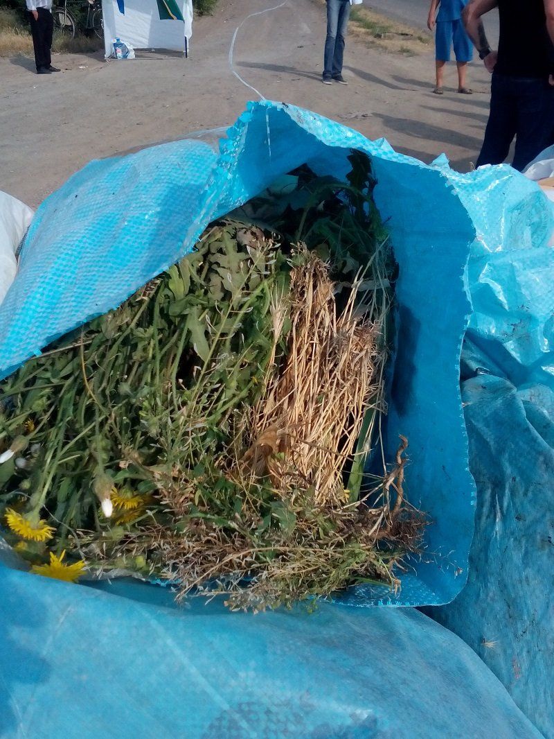 На Днепропетровщине активисты заблокировали мусорный полигон 7