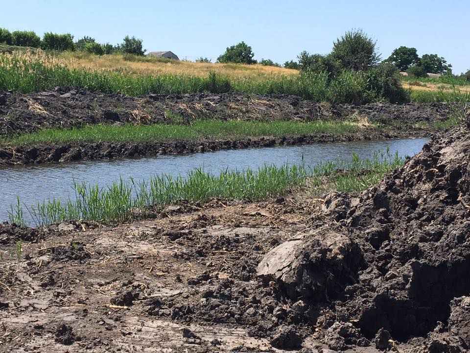 Чистка рек, активисты и аферисты 3