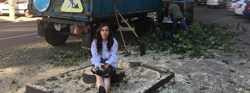 Геноцид деревьев в Днепре возобновился