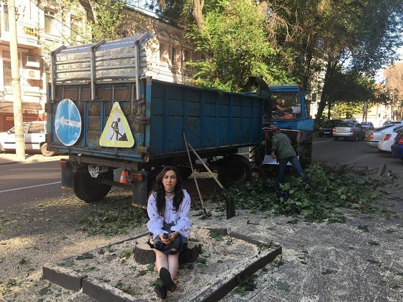 Геноцид деревьев в Днепре возобновился 2