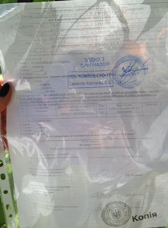 Геноцид деревьев в Днепре возобновился 3