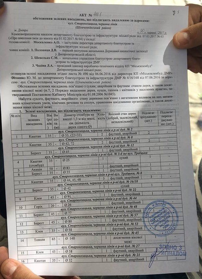 Геноцид деревьев в Днепре возобновился 4