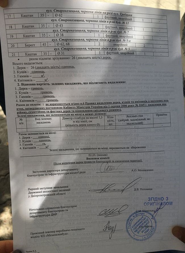 Геноцид деревьев в Днепре возобновился 5