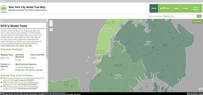 Геноцид деревьев в Днепре возобновился 9