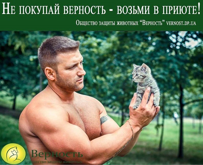 Сексуальные «Котики «Верности» помогают бездомным животным 1