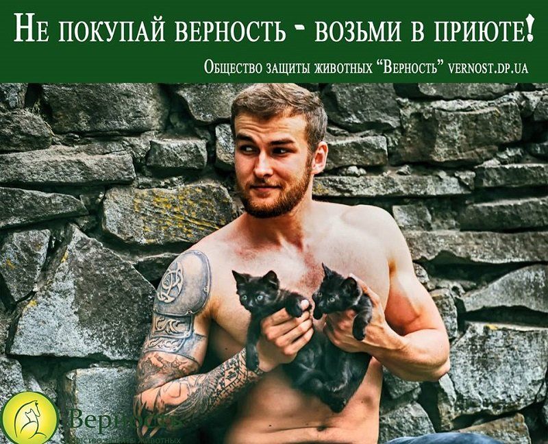 Сексуальные «Котики «Верности» помогают бездомным животным 2