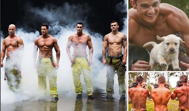 Сексуальные «Котики «Верности» помогают бездомным животным 3