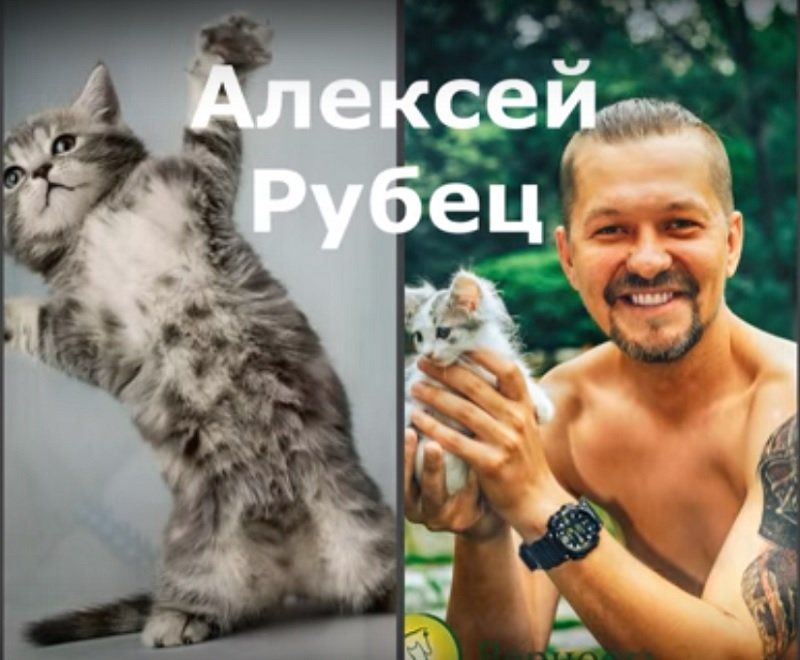 Сексуальные «Котики «Верности» помогают бездомным животным 4