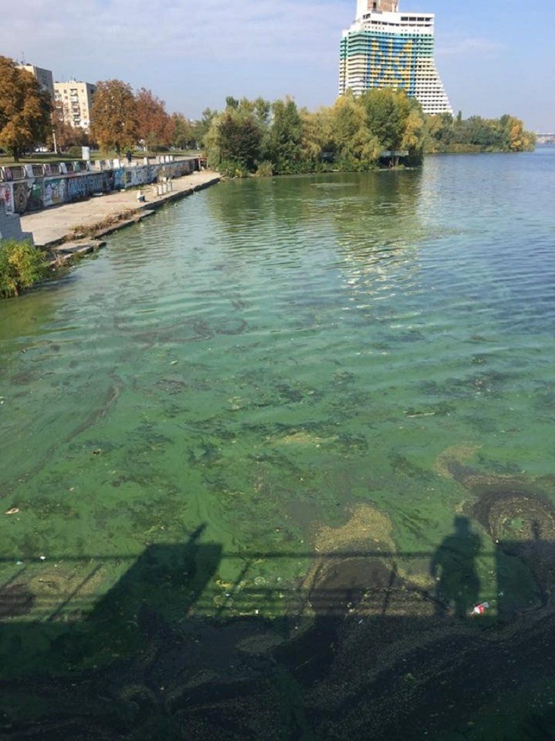 Чтобы почистить малые реки Днепропетровщины понадобится 665 лет 1