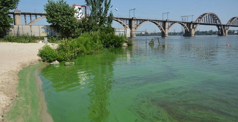 Чтобы почистить малые реки Днепропетровщины понадобится 665 лет 2
