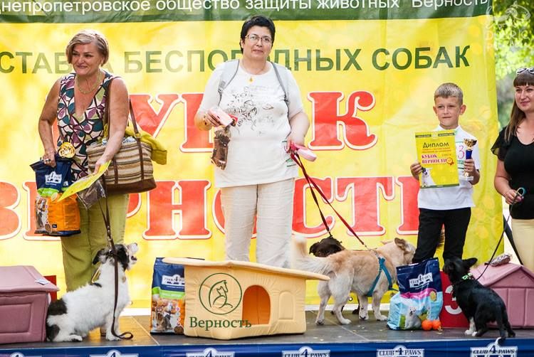 Днепрян зовут на праздник беспородных собак 4