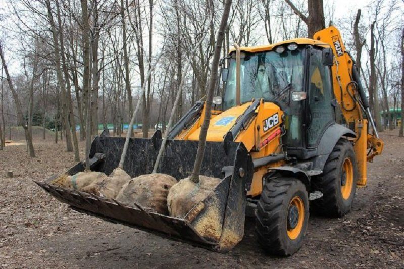В Днепре деревья не только сносят и омолаживают, но и сажают 4