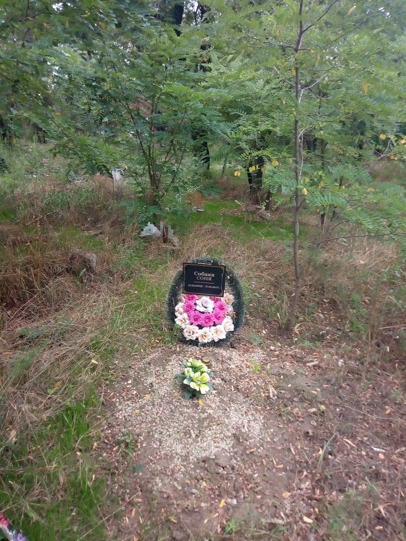 Какова судьба знаковых проектов транспортной инфраструктуры Днепра 3