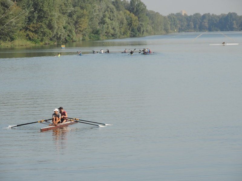 Почему рубят деревья на Мандрыковской косе 5