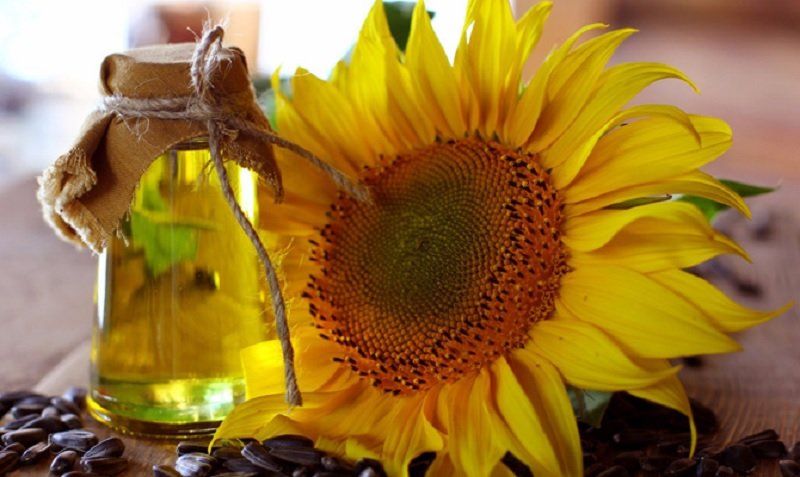 Курс доллара. Перспективы и риски 4