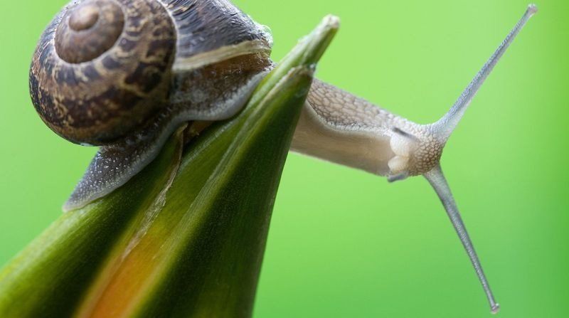 Курс доллара. Перспективы и риски 7