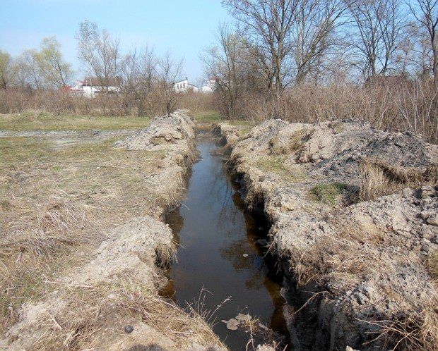 Недорытый канал в Обуховке грозит экологии Приорелья 3