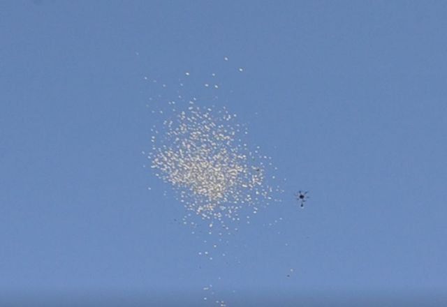 Хто розкидав гроші на День міста у Черкасах? 3