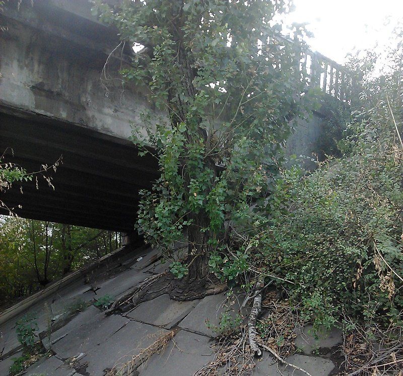 Как растаял прошлогодний ремонт ул. Солончаковой 8