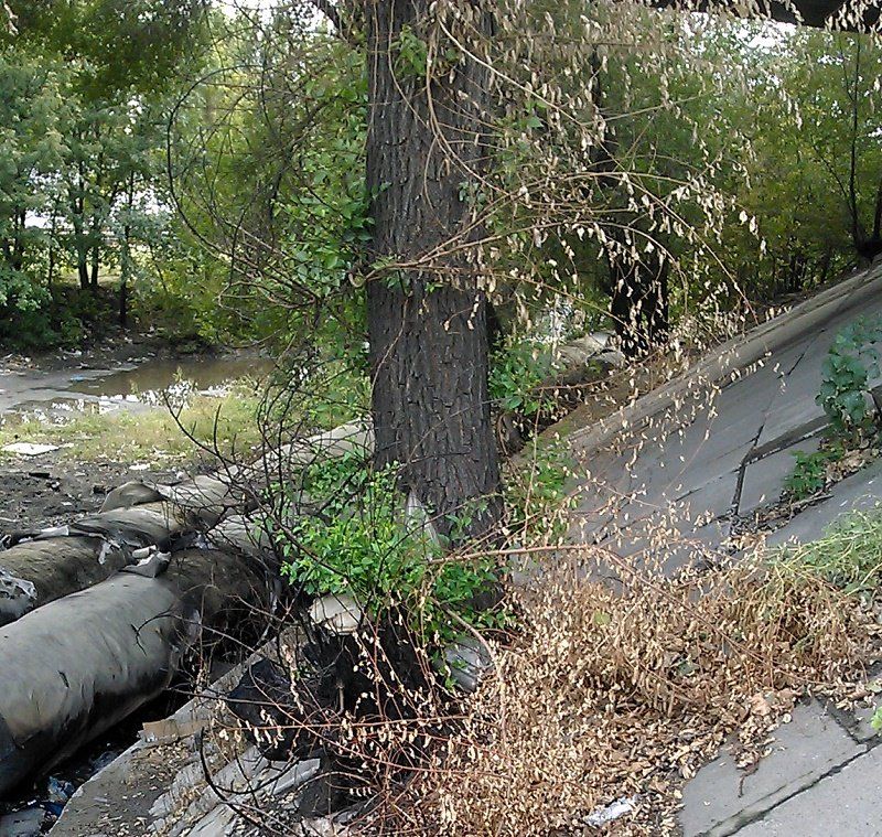 Как растаял прошлогодний ремонт ул. Солончаковой 9