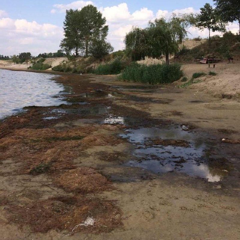 Голубое озеро гибнет - вода отступила на 11 метров 1