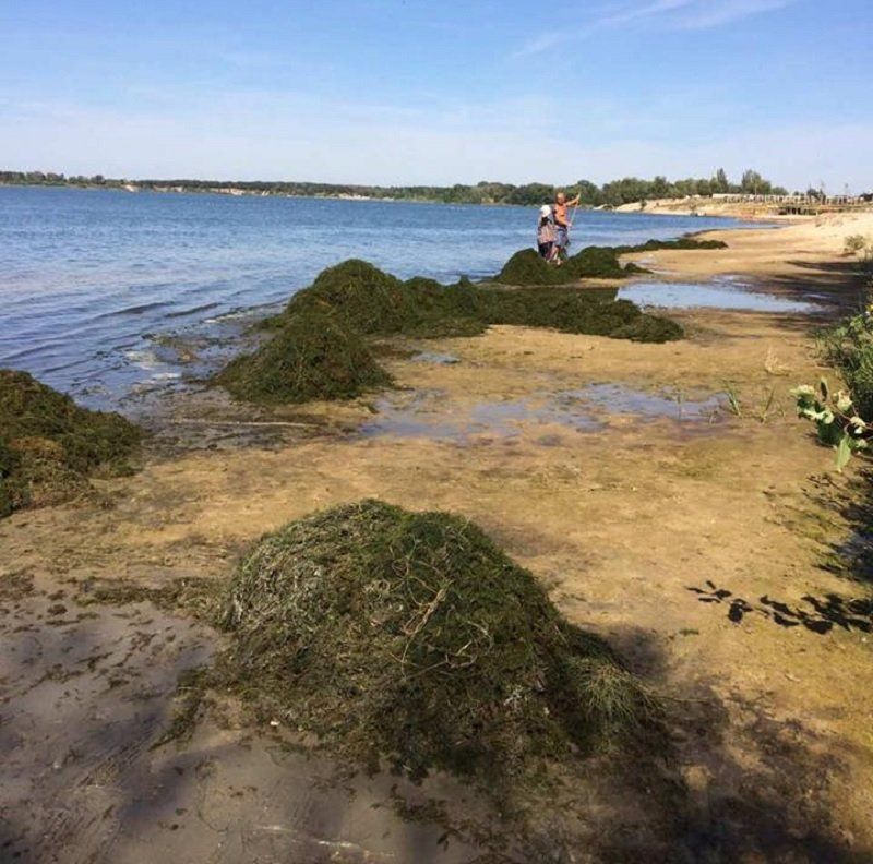 Голубое озеро гибнет - вода отступила на 11 метров 3