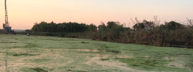 Как, кто и за сколько спасает экологию Днепропетровской области