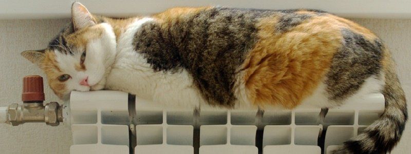 Когда в Днепре включат отопление