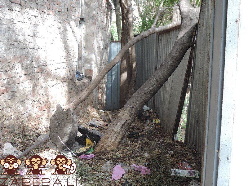 Помойку в центре Днепра уберет еврейская община 4