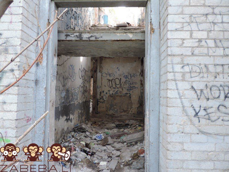 Помойку в центре Днепра уберет еврейская община 5