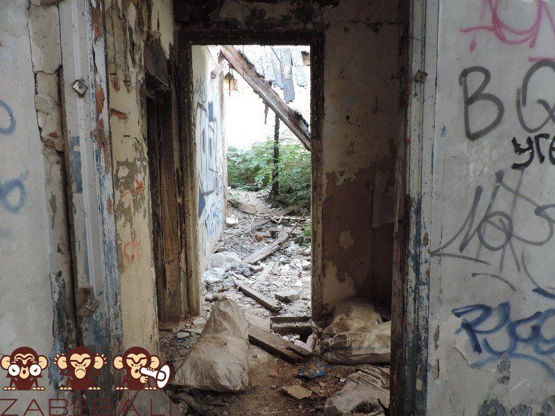 Помойку в центре Днепра уберет еврейская община 6