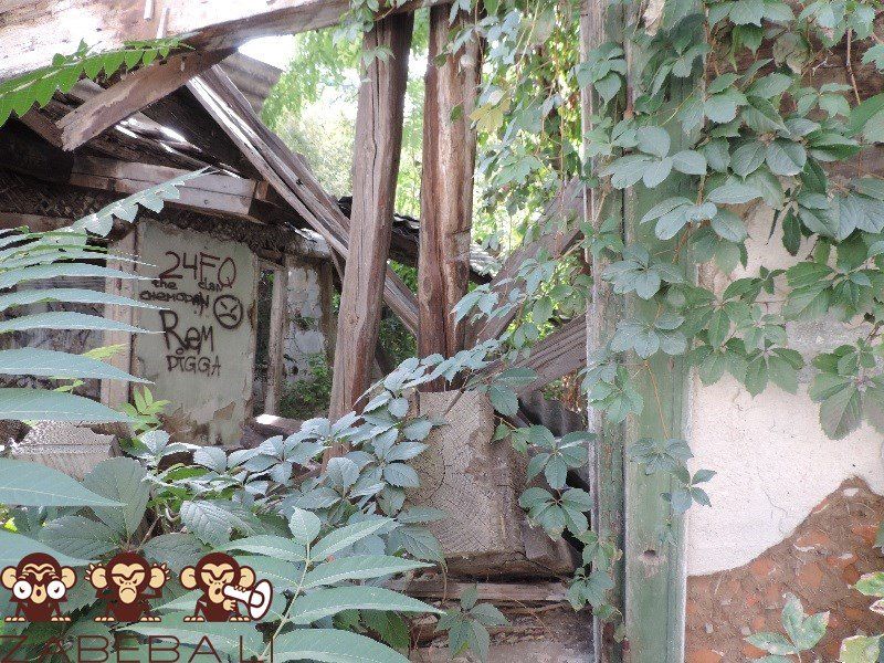 Помойку в центре Днепра уберет еврейская община 7