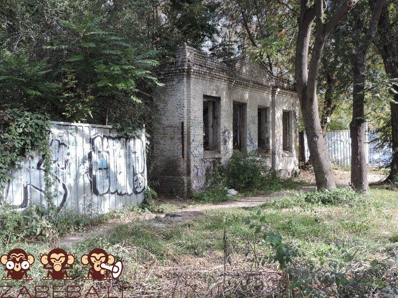 Помойку в центре Днепра уберет еврейская община 9