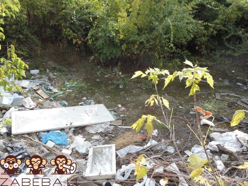 Помойку в центре Днепра уберет еврейская община 10