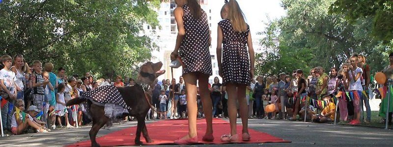 В субботу в парке Глобы расскажут о собаках все, что вам надо о них знать