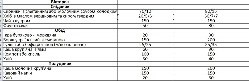 Горсовет Днепра против АМКУ: борьба за питание в садиках 5
