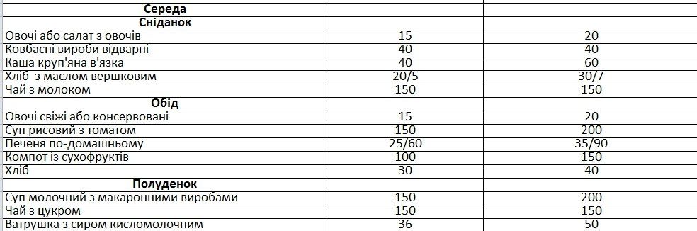 Горсовет Днепра против АМКУ: борьба за питание в садиках 6