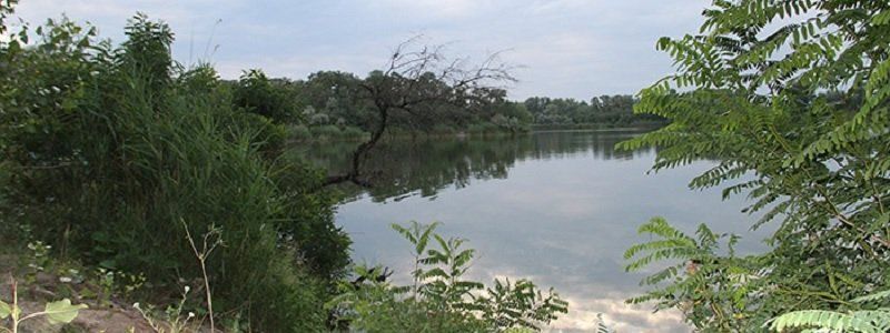 У депутатов облсовета не дошли руки до заказника «Левобережный»