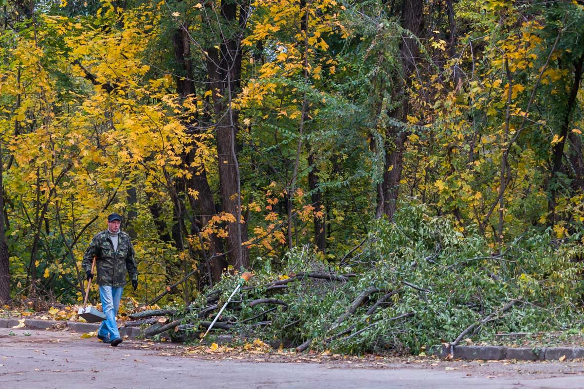 В Днепре взялись за реконструкцию парка «Зеленый гай» 10